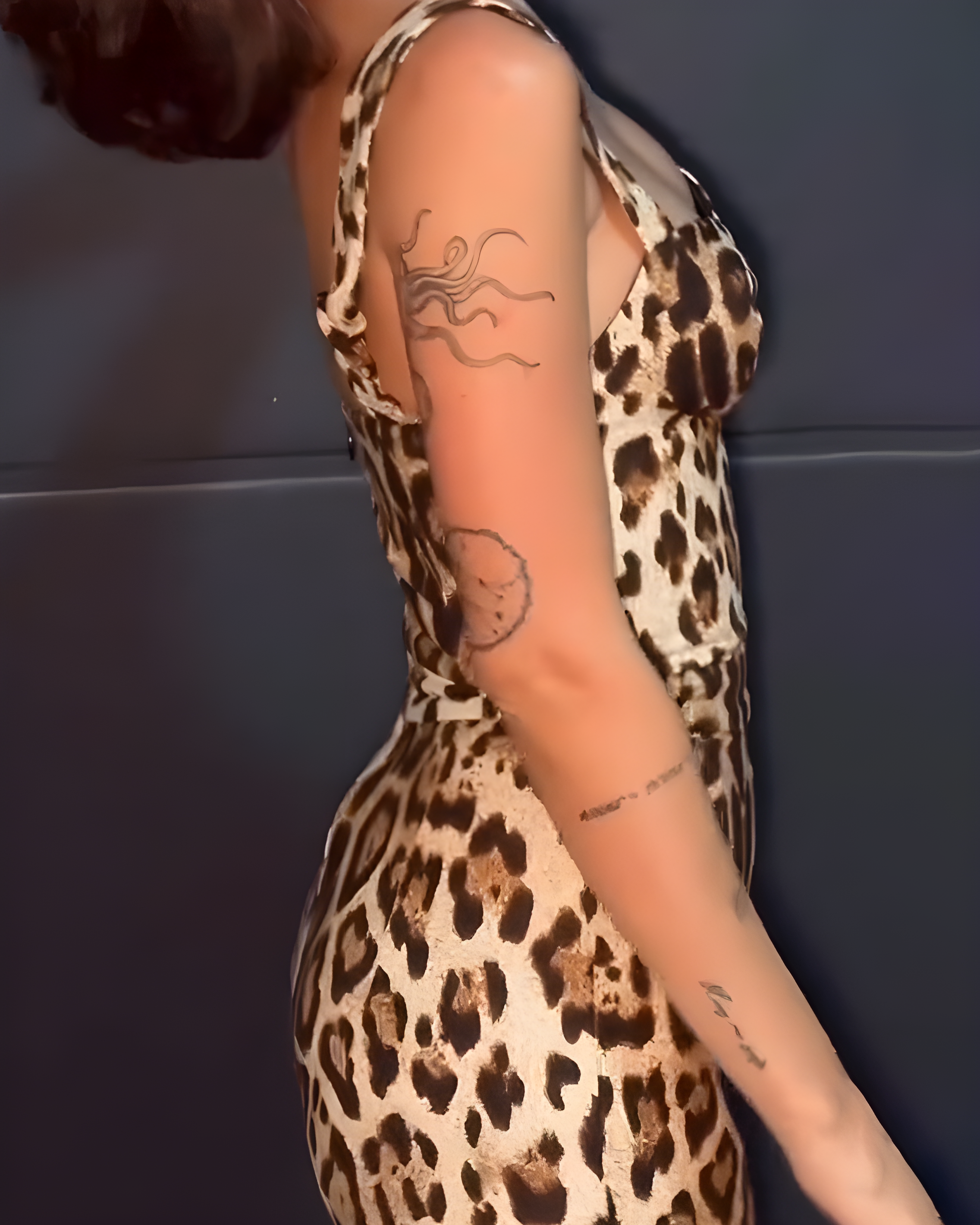 Leopard Print Hip Dress