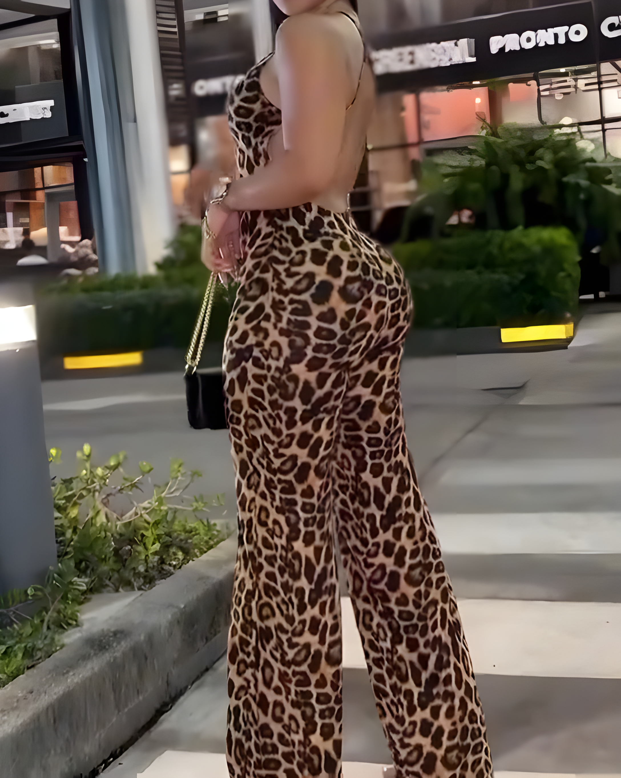 Leopard Print V-Neck Jumpsuit