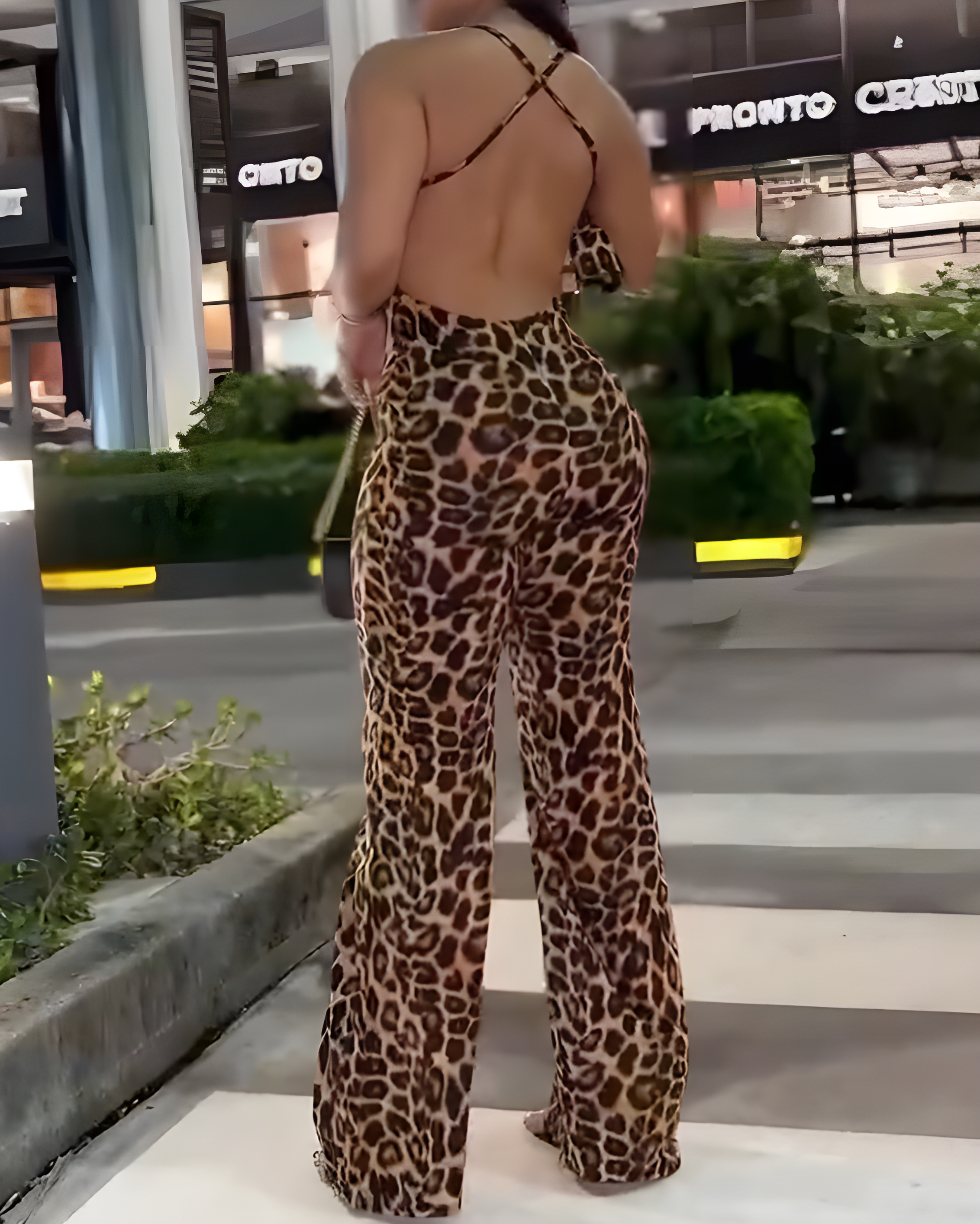 Leopard Print V-Neck Jumpsuit